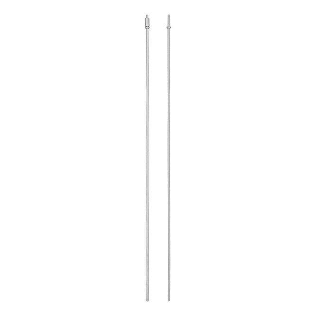 ProPlus Remstang voor aanhangwagen - M8 draad - 1 meter - 2 stuks - Metaal