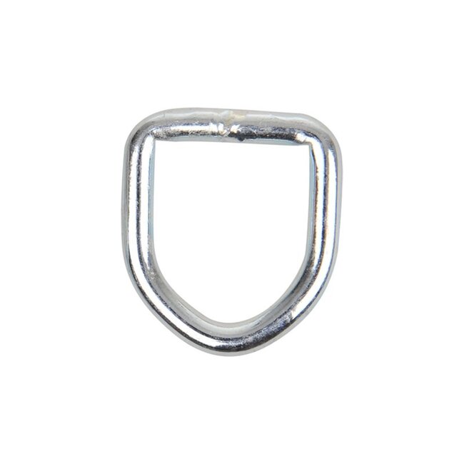 ProPlus Verzinkte D-ring - Roestbestendig - 38 x 44 x Ø 6 mm - Eenvoudige installatie