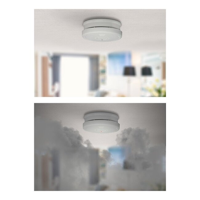 Alecto Optische rookmelder - extra luid alarm - time-out en hush knoppen - 9V batterij