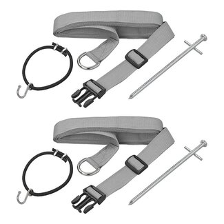 ProPlus Stormbandset met elastiek - 2 spanbanden - 290 cm - 6-delig
