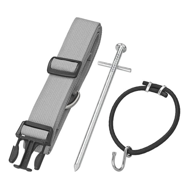 ProPlus Stormbandset met elastiek - 2 spanbanden - 290 cm - 6-delig