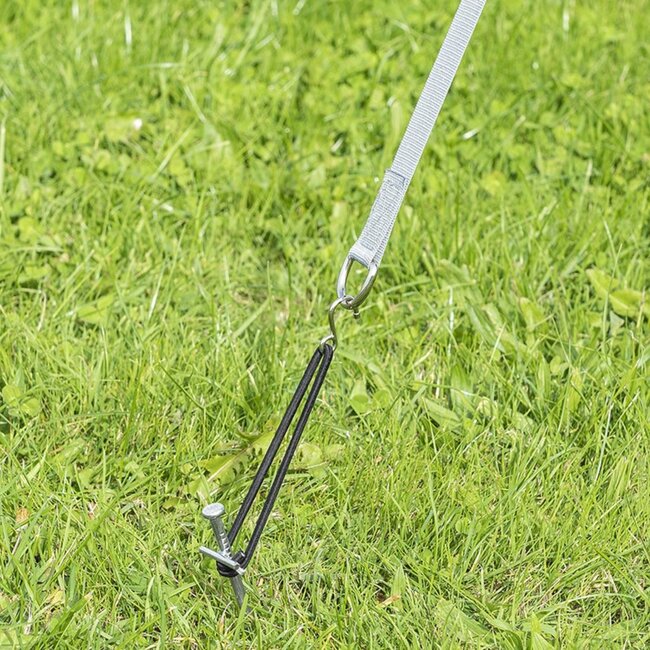 ProPlus Stormbandset met elastiek - 2 spanbanden - 290 cm - 6-delig