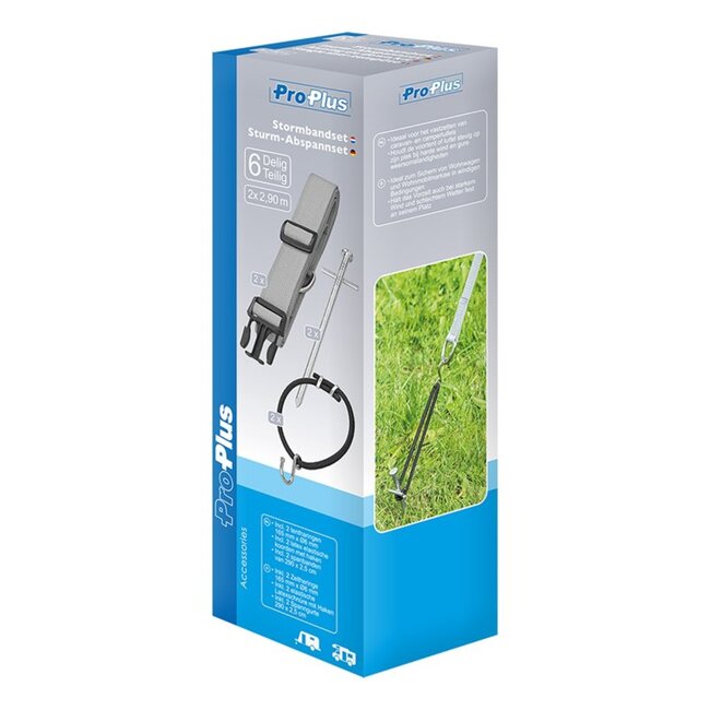 ProPlus Stormbandset met elastiek - 2 spanbanden - 290 cm - 6-delig