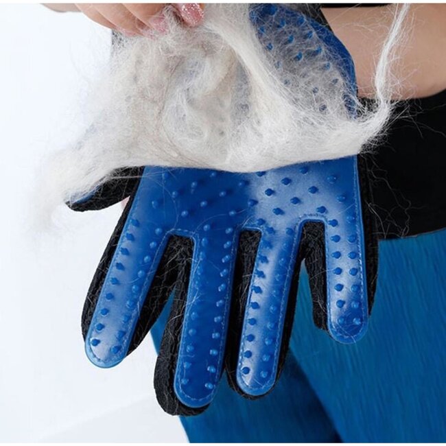 Benson Vachtverzorgingshandschoen - Flexibel - Geschikt voor Alle Vachttypen - One Size