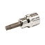 Silverline Torx dopsleutelset - chroom-vanadium - 1/4 en 3/8 inch T10-T40 - zilver - 7-delig - hoge grip - auto en elektronica