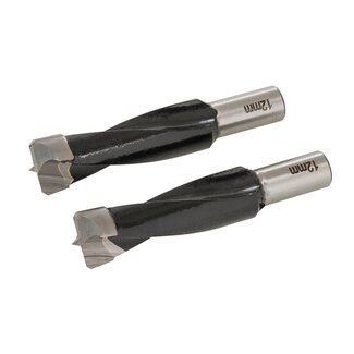 Triton Boorbits hardmetaal - dubbele groef voor precisie - 12 mm, 10 mm schacht - staalkleurig - 2 stuks - voor deuvelmachine