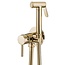 REA Inbouw bidetkraan set - goud - messing - luxe en hygiëne