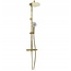 REA Vincent - Douchekraan Thermostatisch Opbouw - Regendouche 25 cm - Glans Goud