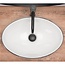 REA Ovale opzetwastafel - keramiek - glans wit - 49x34x14,5 cm - antibacterieel