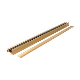 Fixman tochtstrip voor deur - aluminium - waterbestendig en ongediertewerend - 91,4 cm x 56 mm - goudkleurig - 25 mm speling