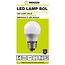 Benson Led Lamp - Bol - 3 Watt - E27 - Wit