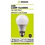 Benson Klassieke LED-lamp - A60 - 9W - Warm wit - E27 - 25.000 uur