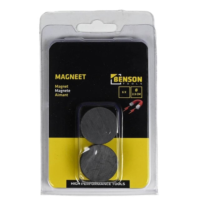 Benson Ronde magneten - Ø 25 mm - sterke magneetkracht - set van 6 stuks