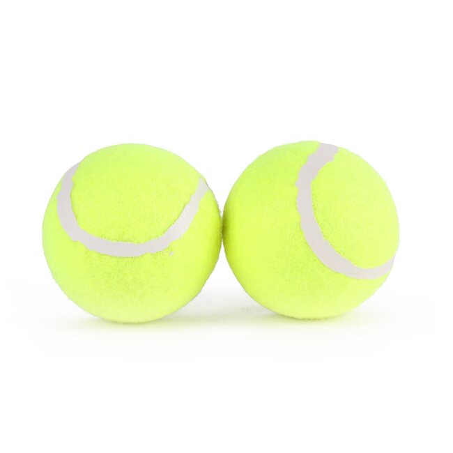 Benson Honden Tennisballen Set - Geel/Groen - 2 delig