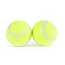 Benson Honden tennisballen set - duurzaam - geel/groen - 2 stuks