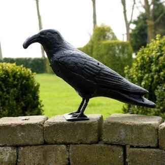 Lifetime Vogelverschrikker/ duivenverjager raaf/zwarte kraai van plastic Met Geluid