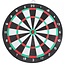 Lifetime Dartbord - 24 Cm - Met 2 Pijlen