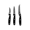 Alpina Luxe Messenset - RVS - Zwart - 3 delig Alpina Luxe Messenset - RVS - Zwart - 3 delig