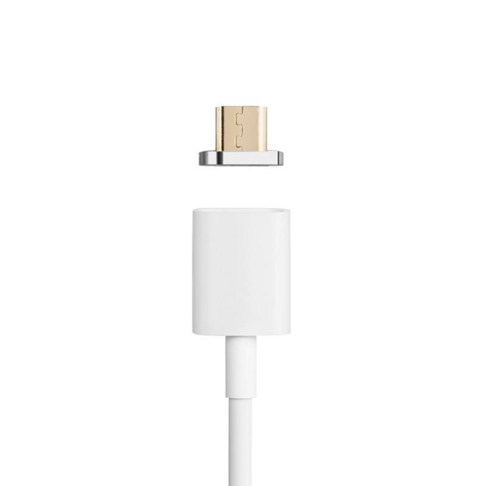 https://cdn.webshopapp.com/shops/24079/files/426603411/file.jpg