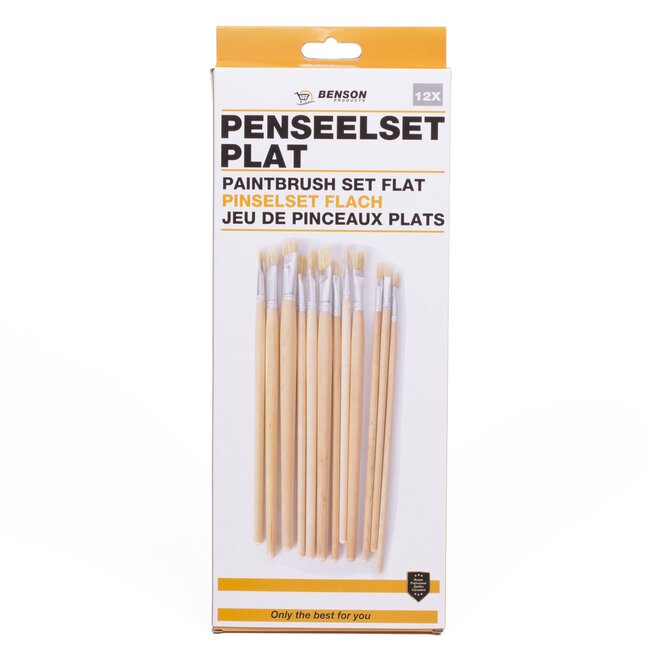 Benson Penseelset - Platte kwasten - 12 maten - Voor jong en oud - Creatieve projecten
