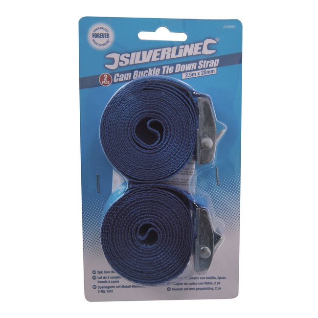 Silverline sjorbanden met klemgesp - polypropyleen - voor lichte ladingen - 2.5 meter x 25 mm - 2 stuks - auto/aanhanger/boot
