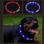 Benson Hondenhalsband - 12 LED's - USB oplaadbaar - Waterbestendig - Ø 23,5 cm - Mix