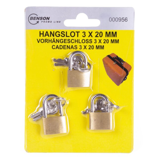 Stahlex Set van 3 hangsloten - 20 mm - niet gelijksluitend - ideaal voor kleine kistjes en gereedschapskisten