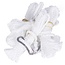 Benson Set van 4 scheerlijnen - nylon - 3 mm diameter - 200 cm - wit