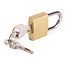 Stahlex Compact hangslot - geharde beugel - inclusief 2 sleutels - 20 mm - goud