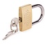 Stahlex Hangslot - Messing - Stalen beugel - 40 mm - Inclusief 2 sleutels