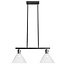 TooLight APP317-2CP Hanglamp - E27 - 2 Lichtpunten - Zwart