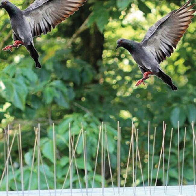 Benson Vogelpinnen - 10 stuks - Milieuvriendelijk - Eenvoudige Installatie - Diverse Maten
