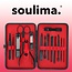 Soulima 15-Delige Luxe Manicure en Pedicure Set - Compleet met Etui