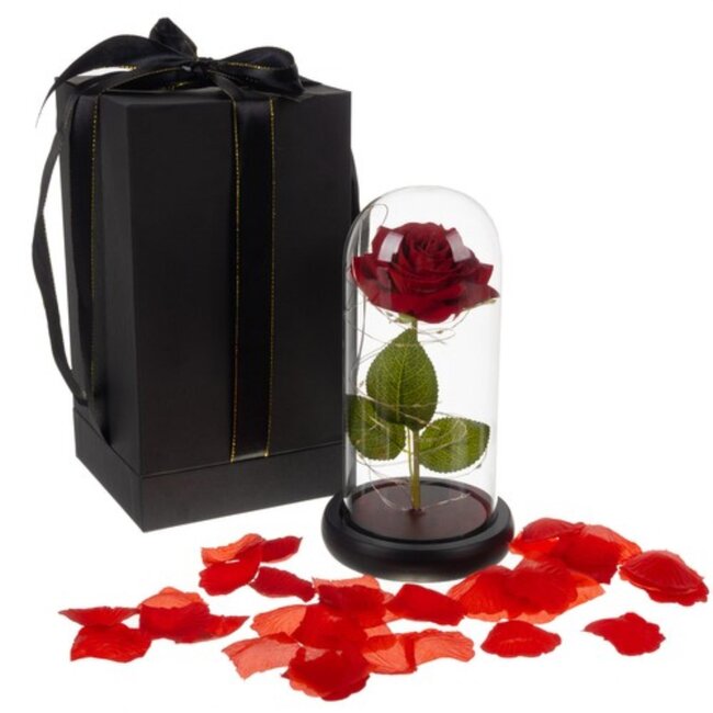 Malatec Eeuwige Roos in Glas met LED: Romantische Decoratie!