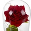 Malatec Eeuwige Roos in Glas met LED: Romantische Decoratie!