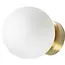 TooLight APP1250-1W Wandlamp in Goud - Elegante Verlichting met 1 Lichtpunt