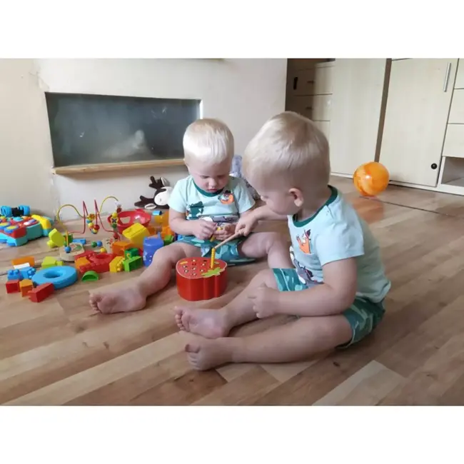 Kruzzel Houten Aardbei Spel - Perfect voor Jonge Ontdekkers