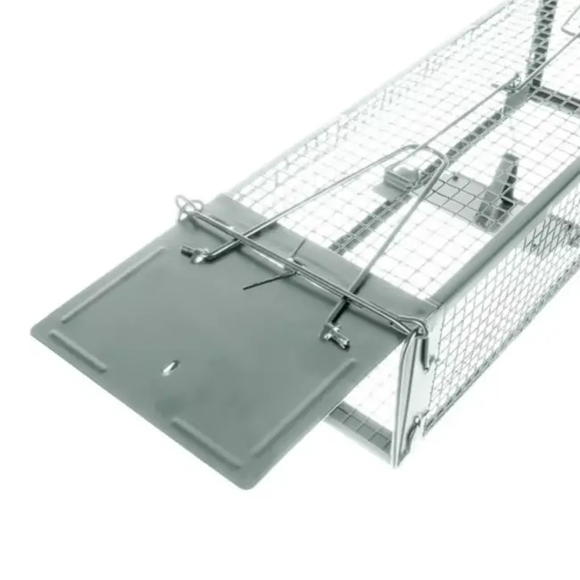 Repest Levendval - Humane Ongediertebestrijding - Automatische en Veilige Vangst