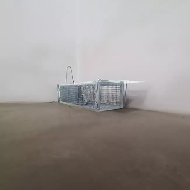 Repest Levendval - Humane Ongediertebestrijding - Automatische en Veilige Vangst