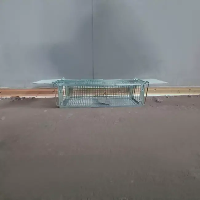 Repest Levendval - Humane Ongediertebestrijding - Automatische en Veilige Vangst