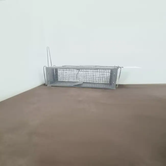 Repest Levendval - Humane Ongediertebestrijding - Automatische en Veilige Vangst