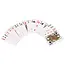 Ruhhy Complete Poker Set 500 Chips - Professioneel Casino-ervaring Thuis!
