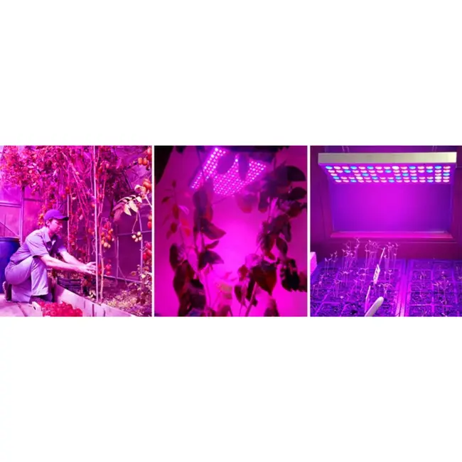 Gardlov 225 LED Lamp/Paneel voor Plantengroei: Optimaal Licht voor Je Planten