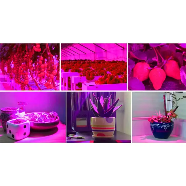 Gardlov 200 LED Plantenlamp: Optimale Groei en Bloei