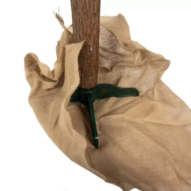 Ruhhy Kunstmatige Sneeuwbedekte Dennenboom - 1,8 m - Natuurlijke Uitstraling op Stomp