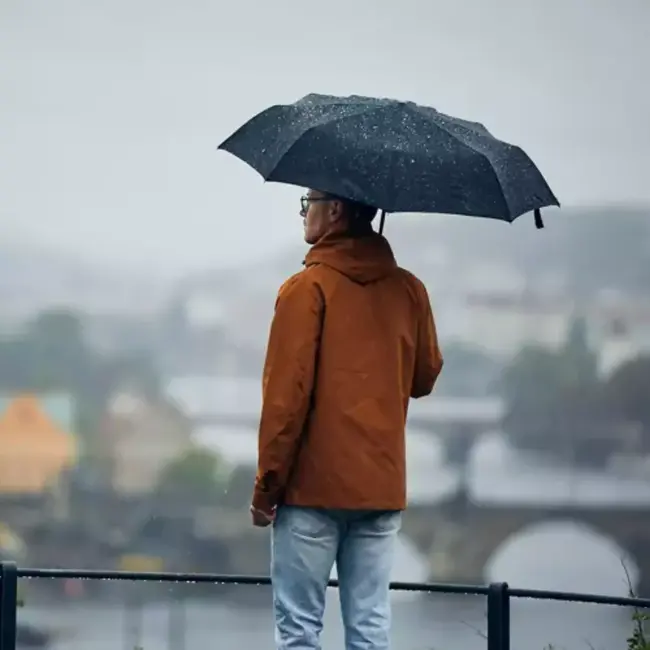 Malatec Paraplu - Automatisch, Windbestendig en Stijlvol