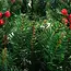 Ruhhy Grote Kerstkrans 60cm - Stijlvol en Duurzaam voor Deur en Interieur