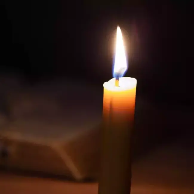 Ruhhy 40-Delige Witte Dinerkaarsen Set: Perfect voor Feestdagen en Speciale Gelegenheden