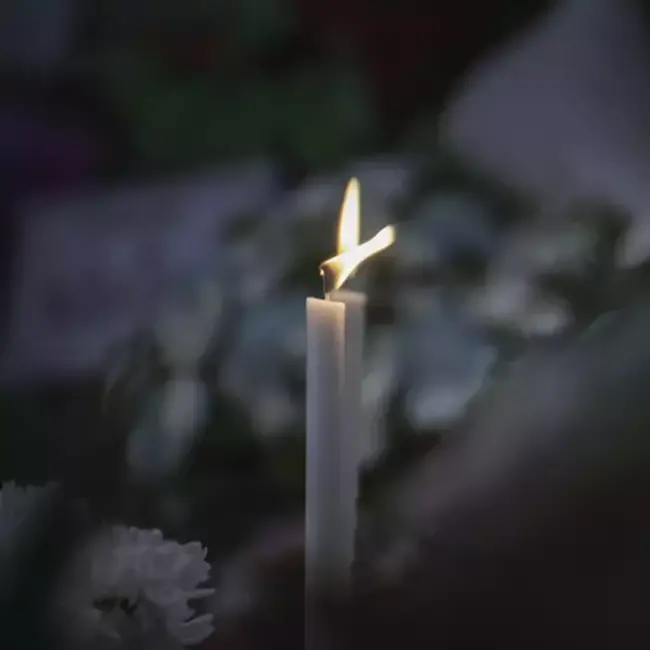 Ruhhy 40-Delige Witte Dinerkaarsen Set: Perfect voor Feestdagen en Speciale Gelegenheden