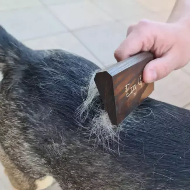 EzzyGroom Grove Borstel voor Stugge Vacht